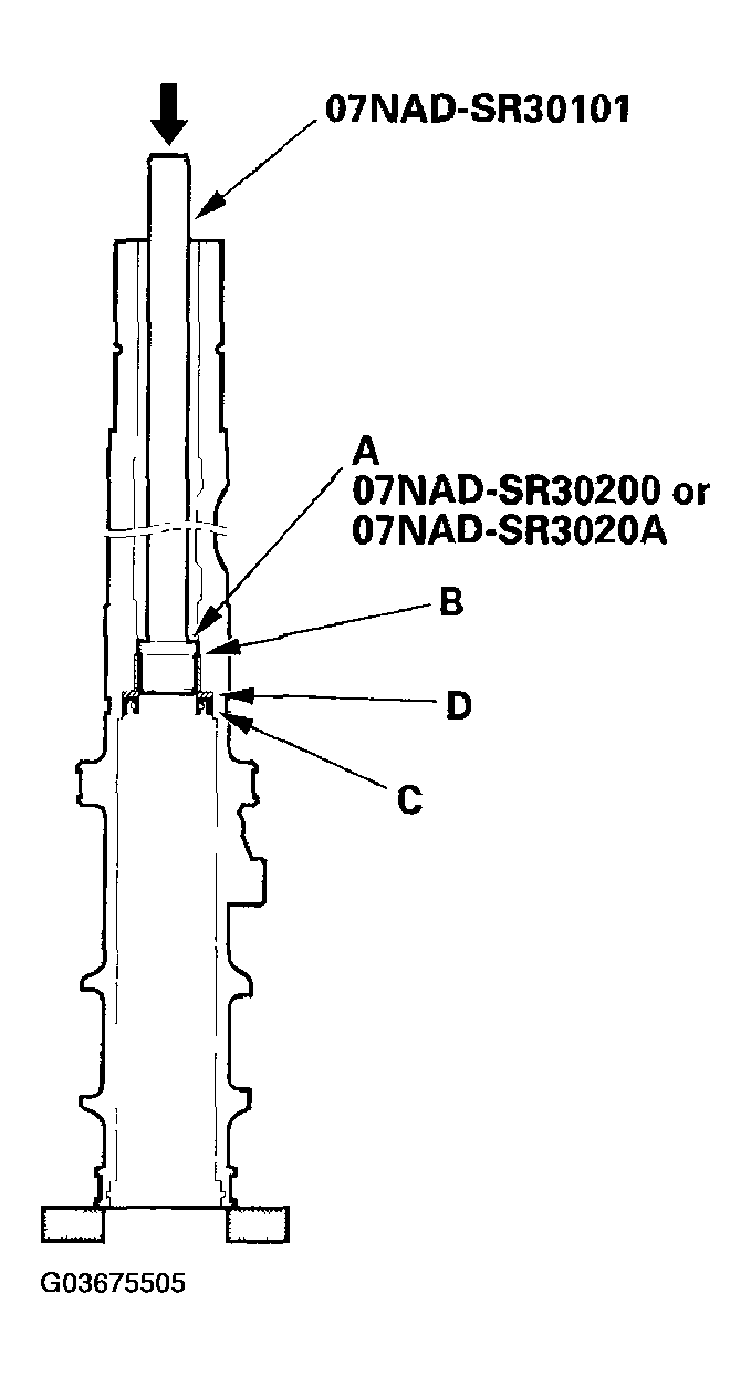 G03675505
