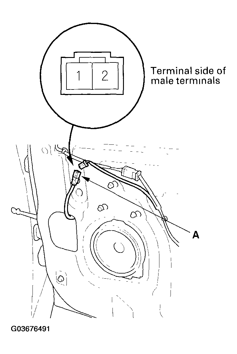 G03676491