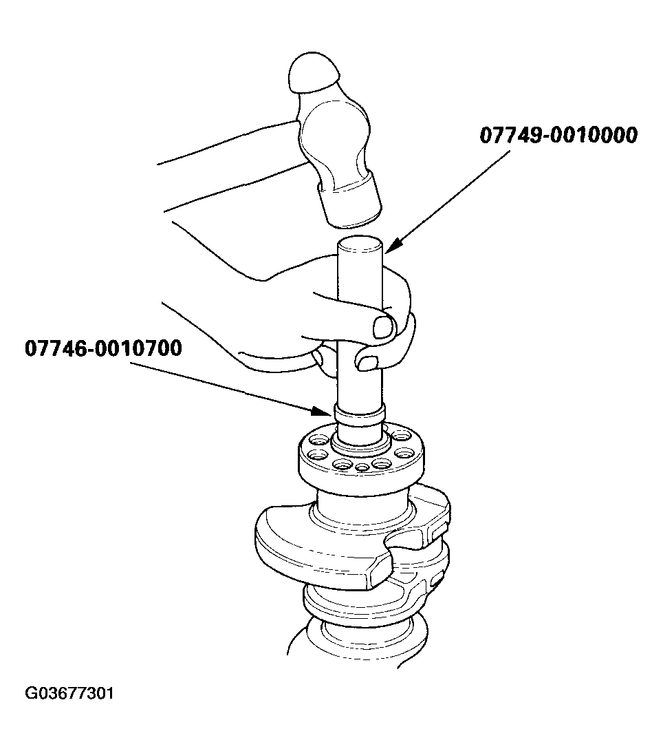 G03677301