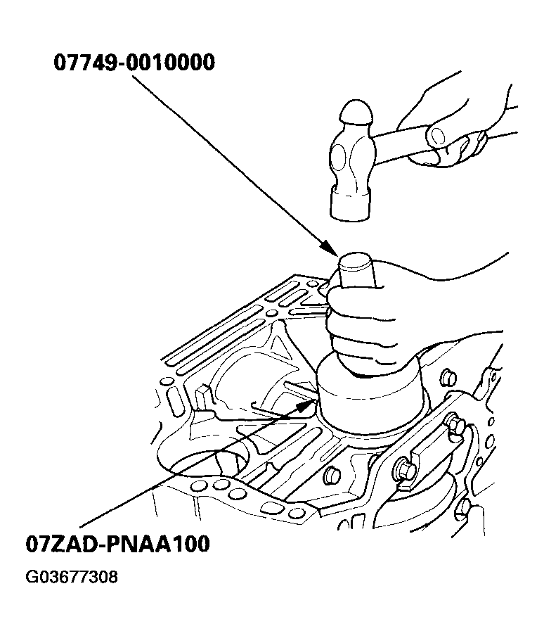G03677308