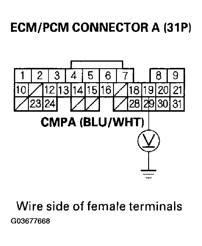 G03677668