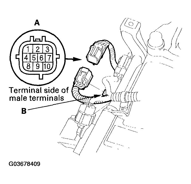 G03678409