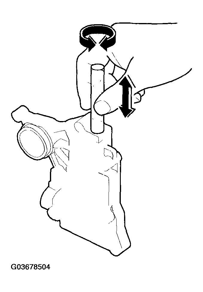 G03678504