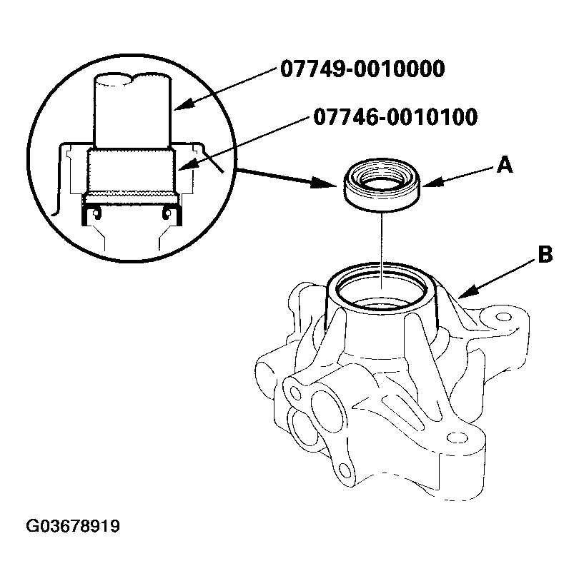 G03678919