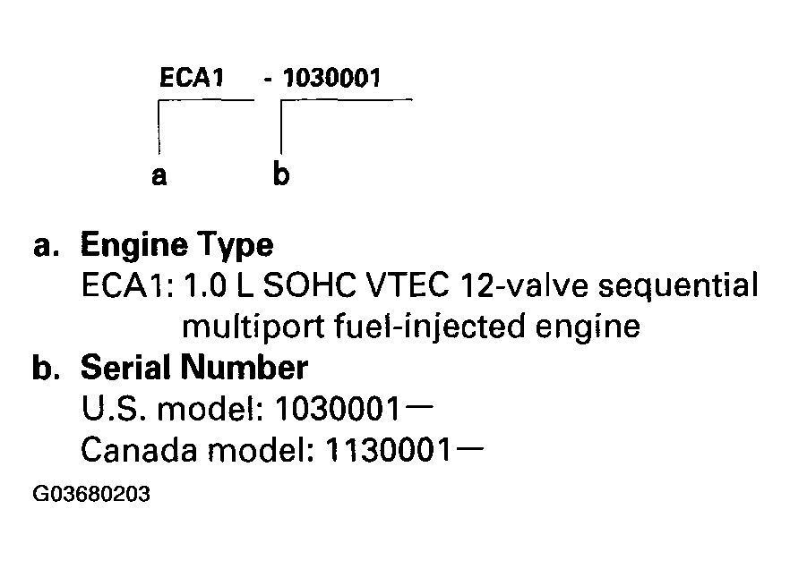 G03680203