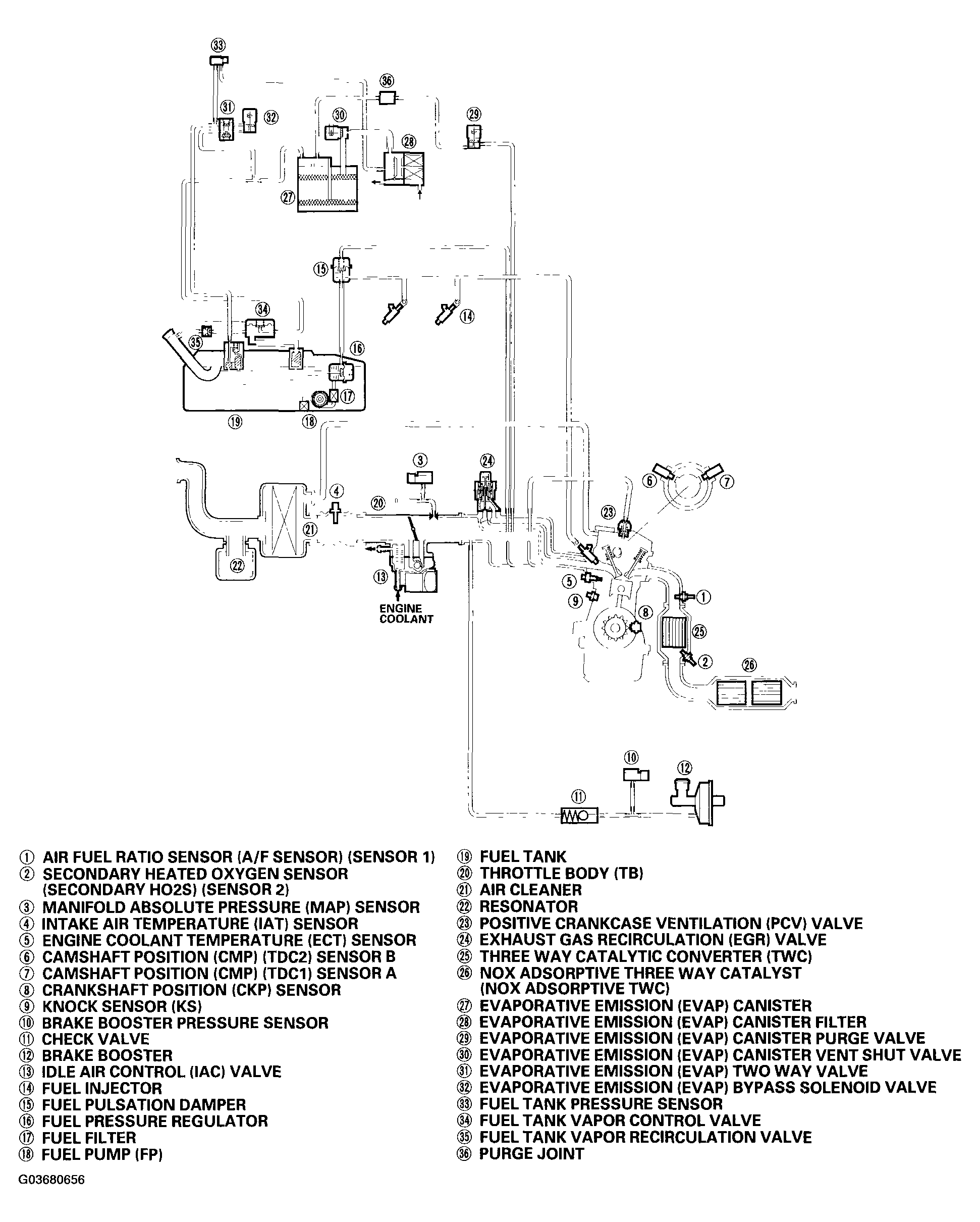 G03680656