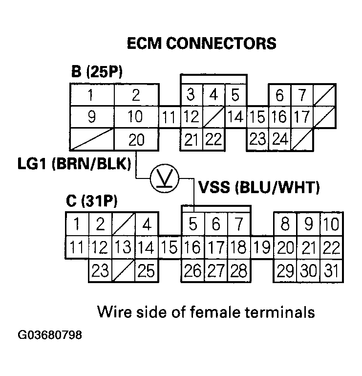 G03680798