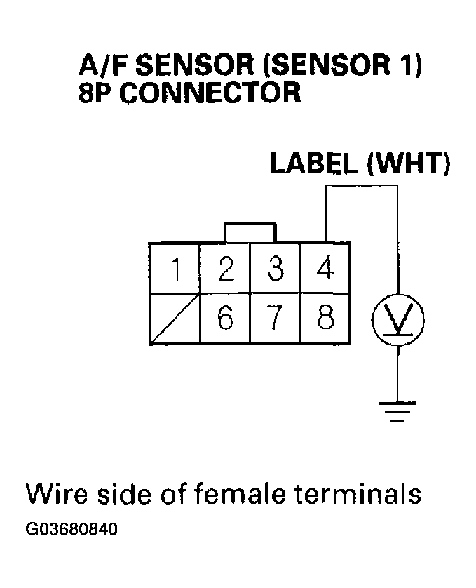 G03680840