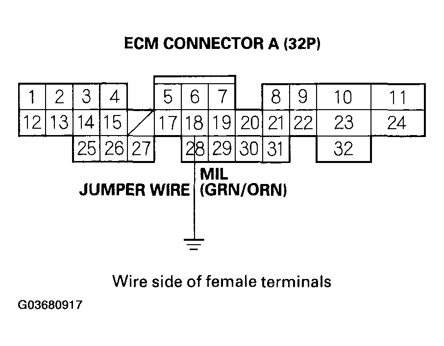 G03680917