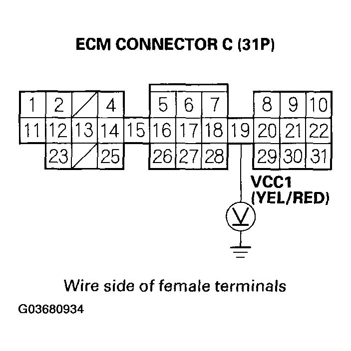 G03680934