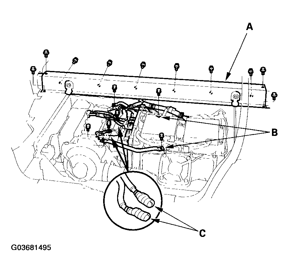 G03681495