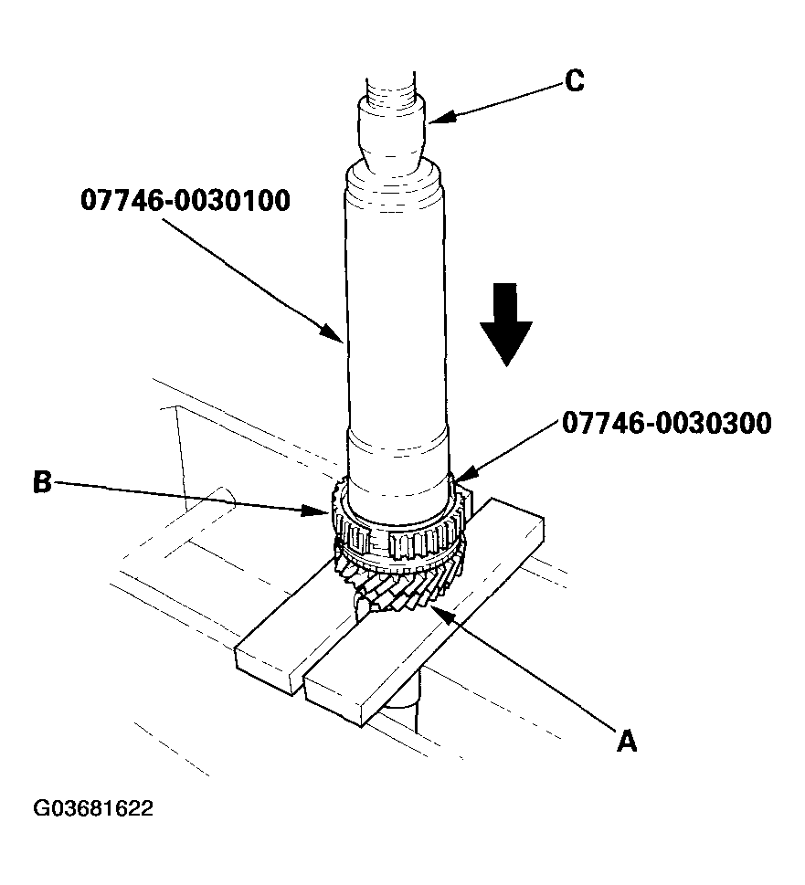 G03681622