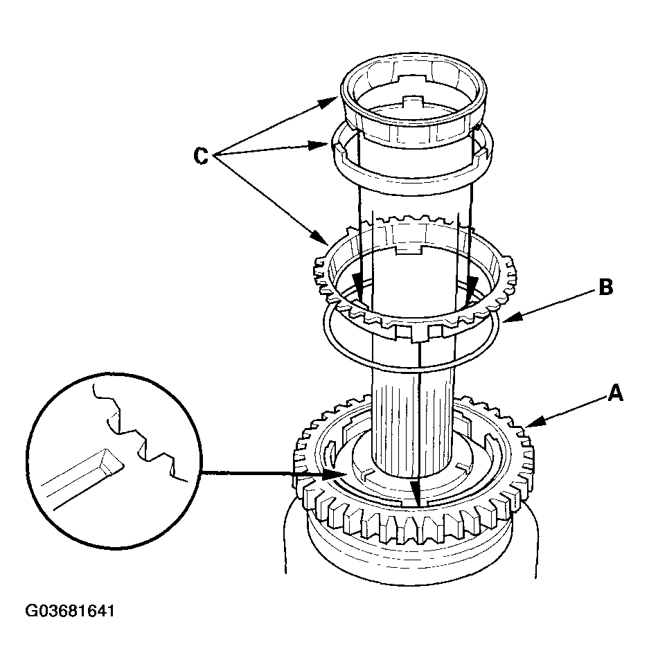 G03681641