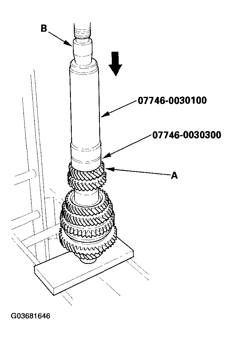 G03681646