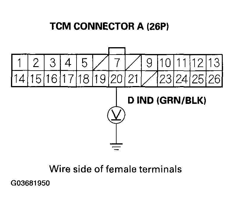 G03681950