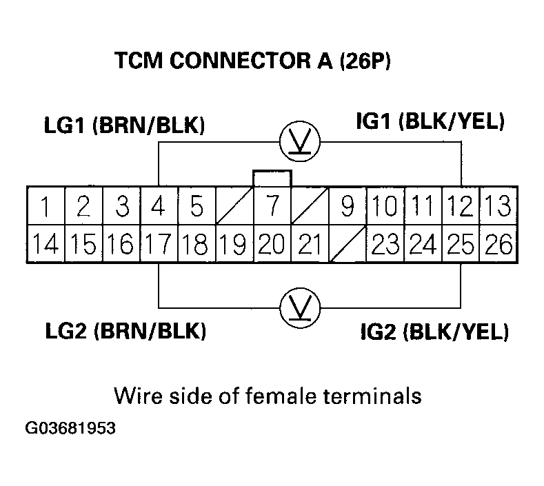 G03681953