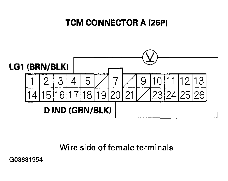 G03681954