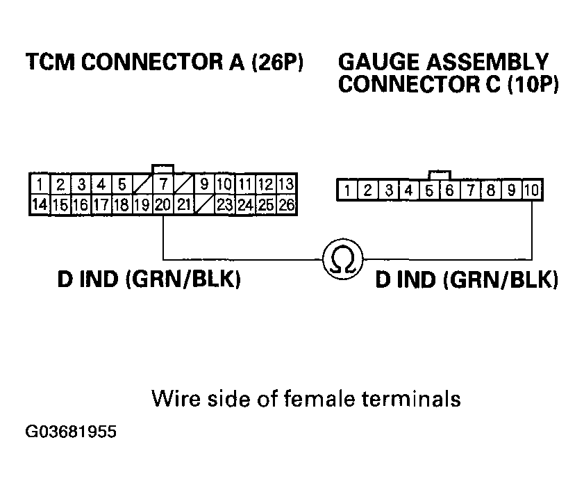 G03681955