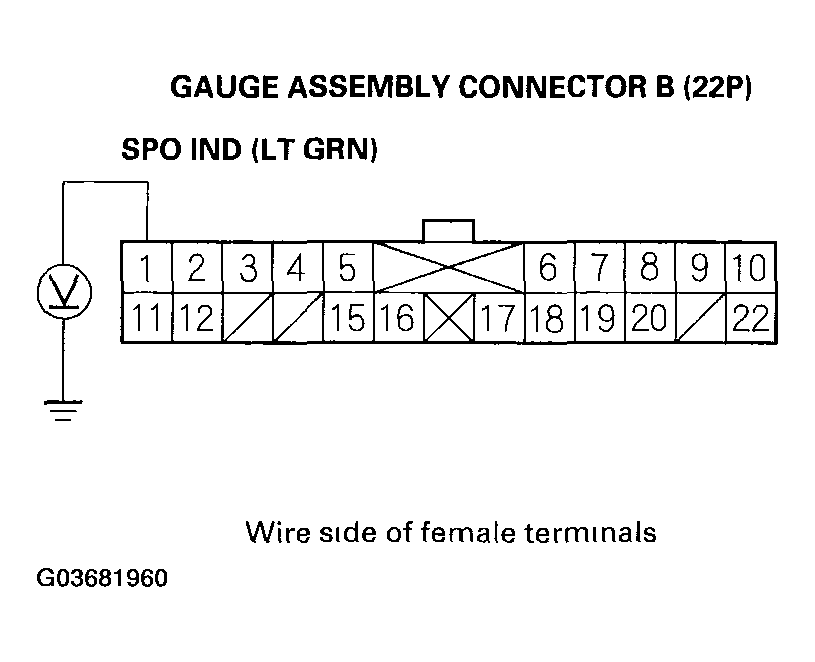 G03681960