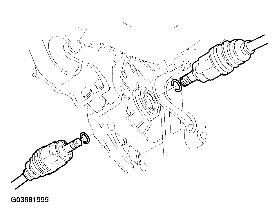 G03681995