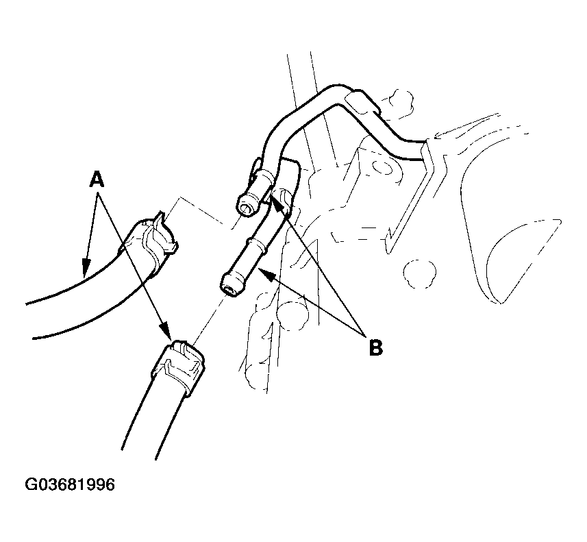 G03681996
