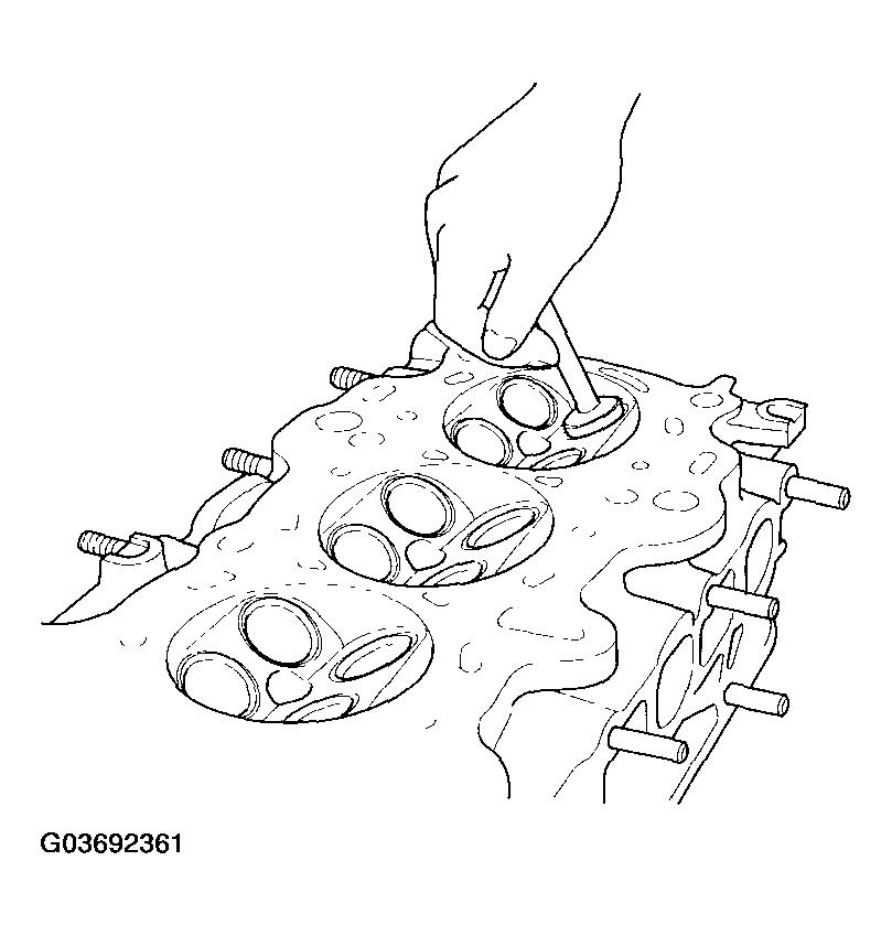 G03692361