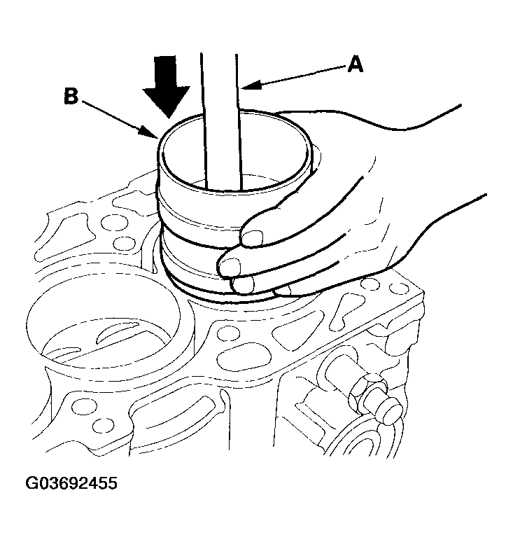 G03692455