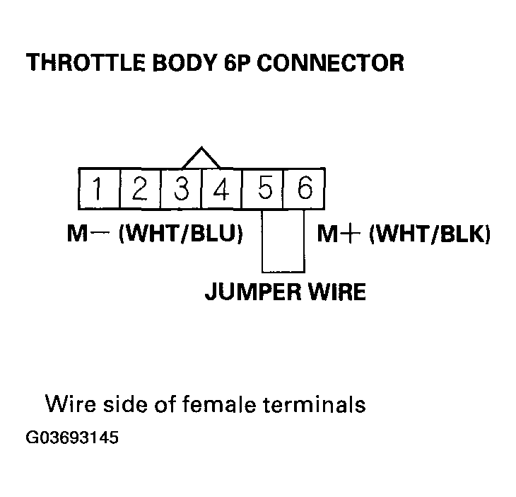 G03693145
