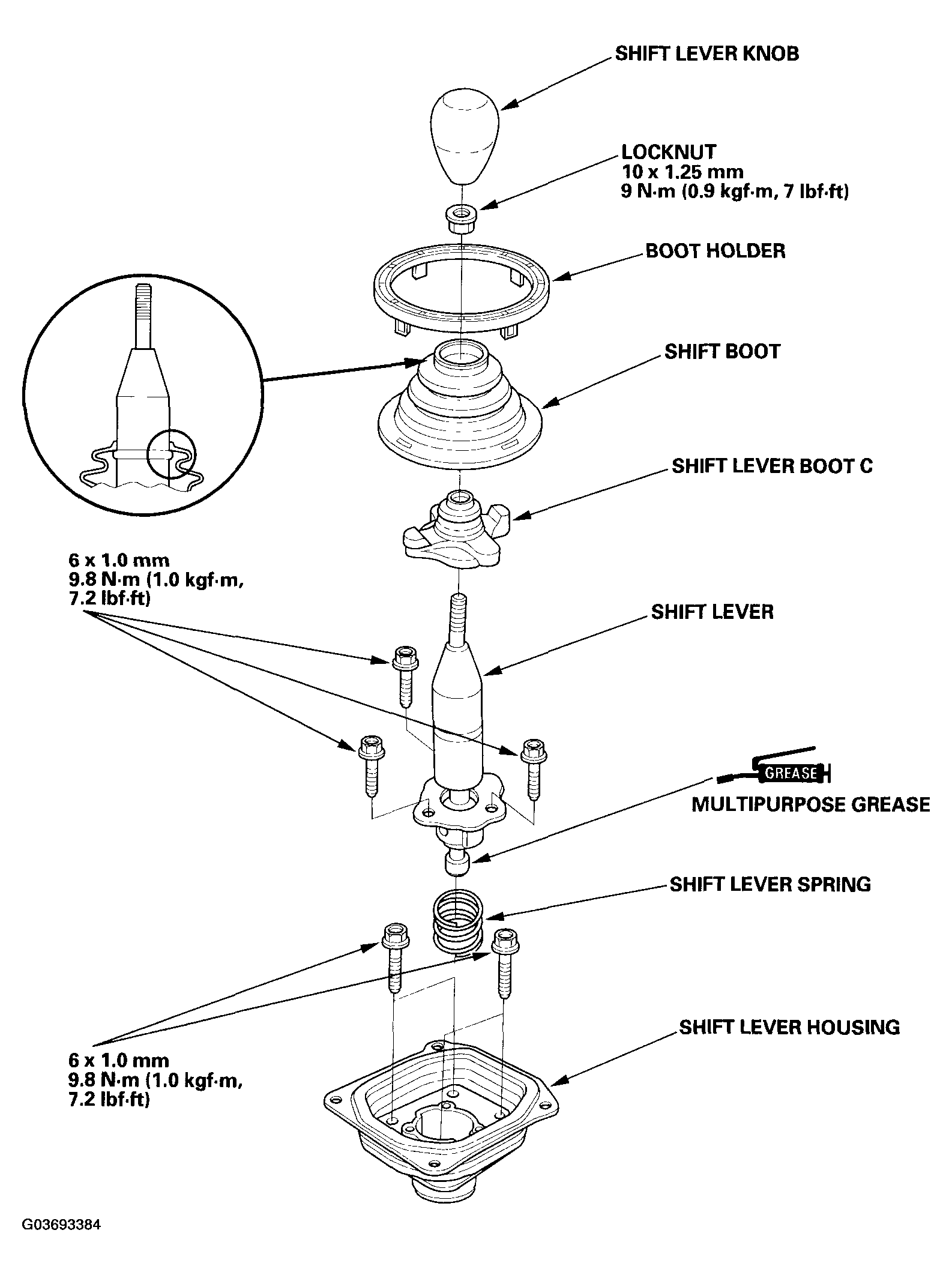 G03693384