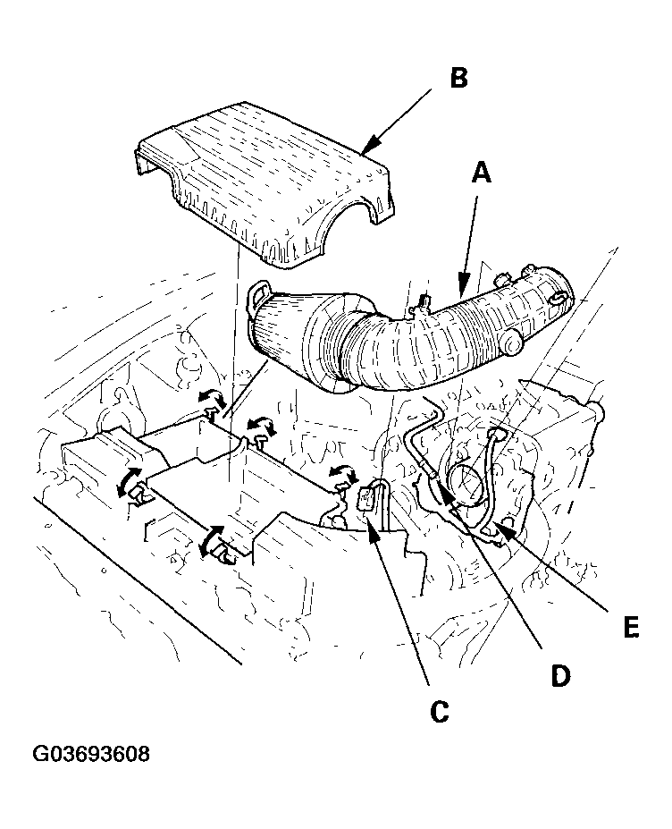 G03693608
