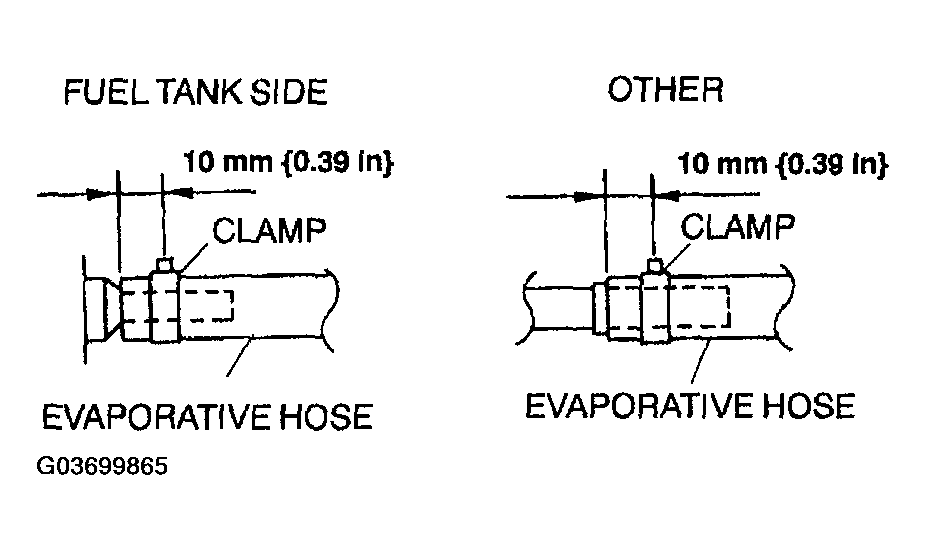 G03699865