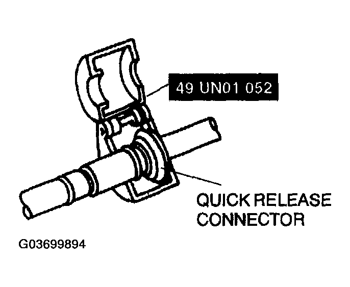 G03699894