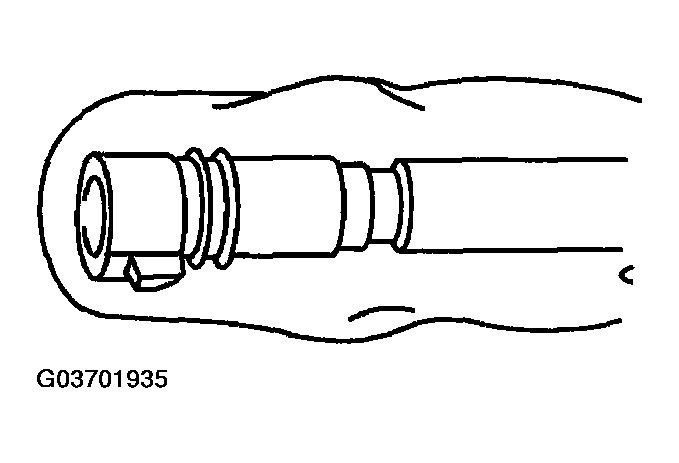 G03701935