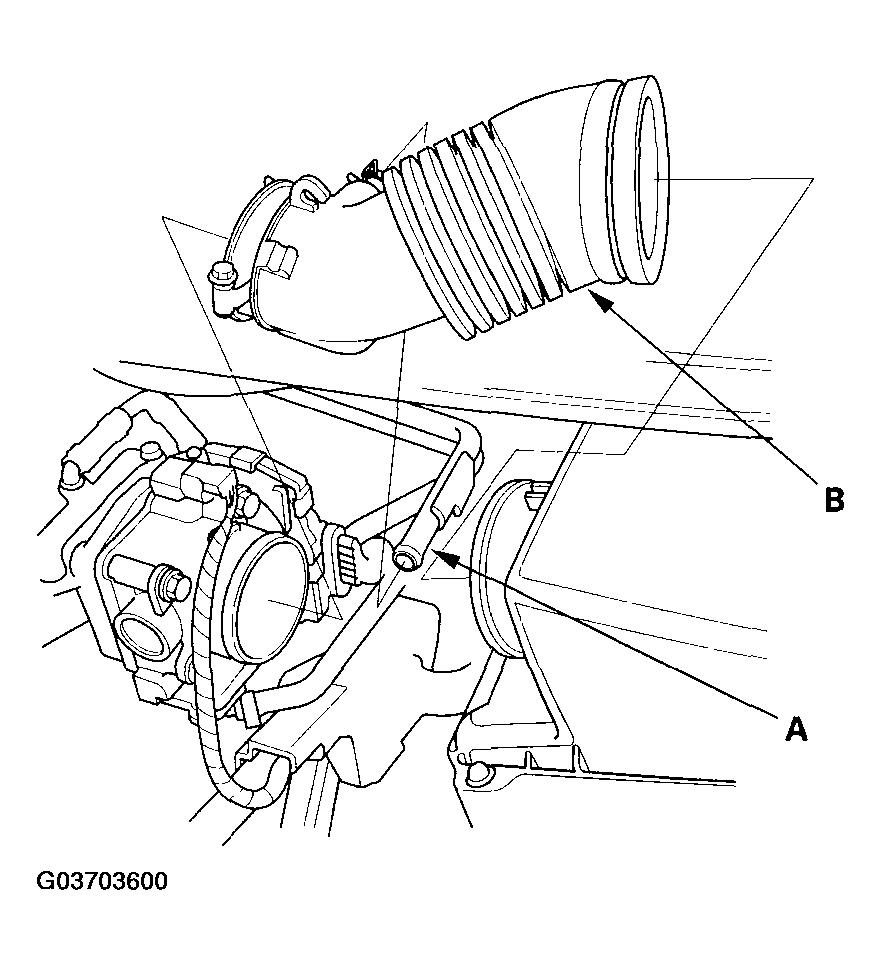 G03703600