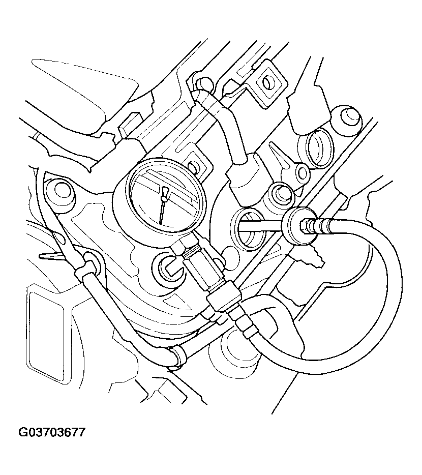 G03703677
