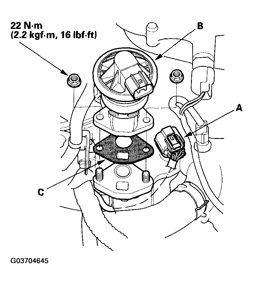 G03704645