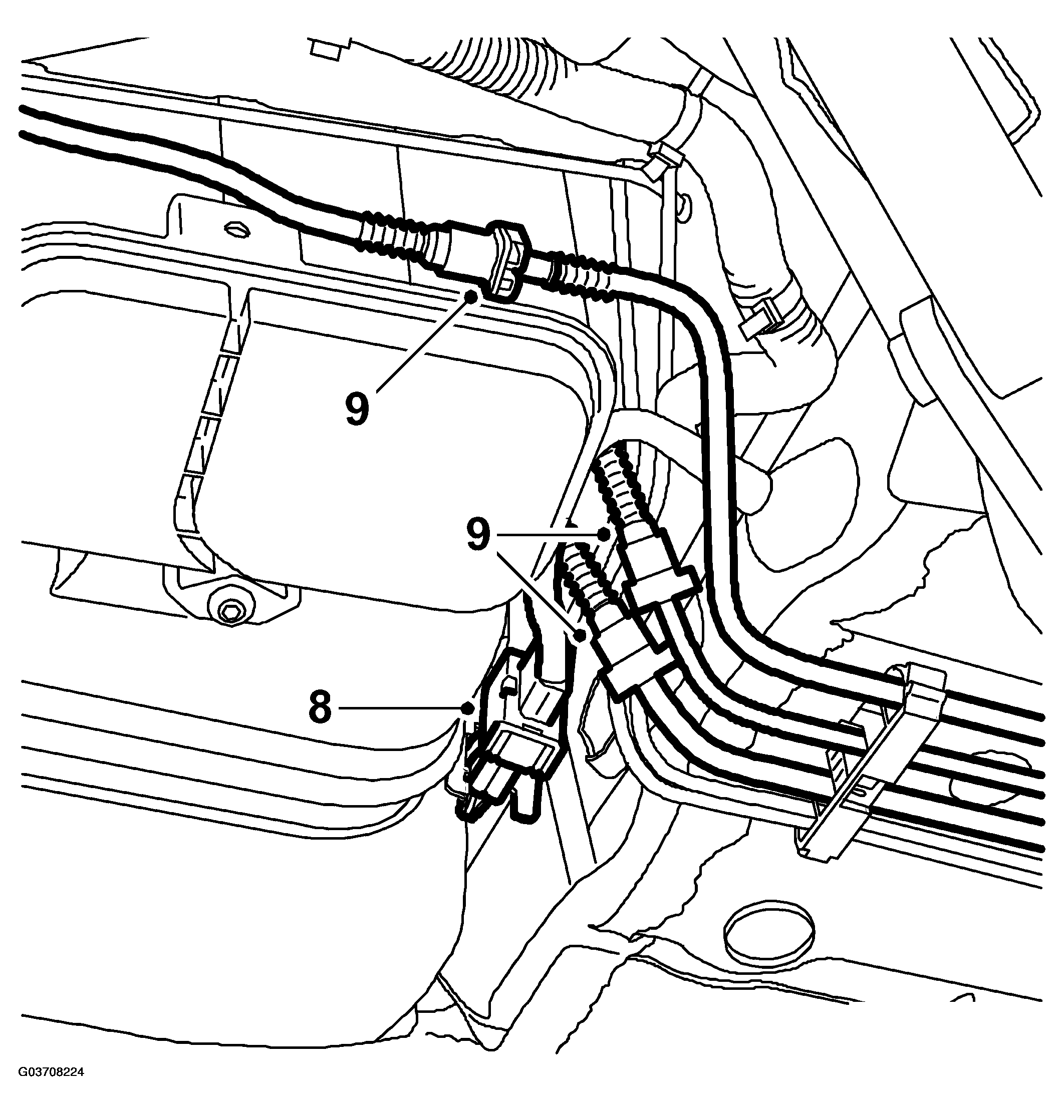 G03708224