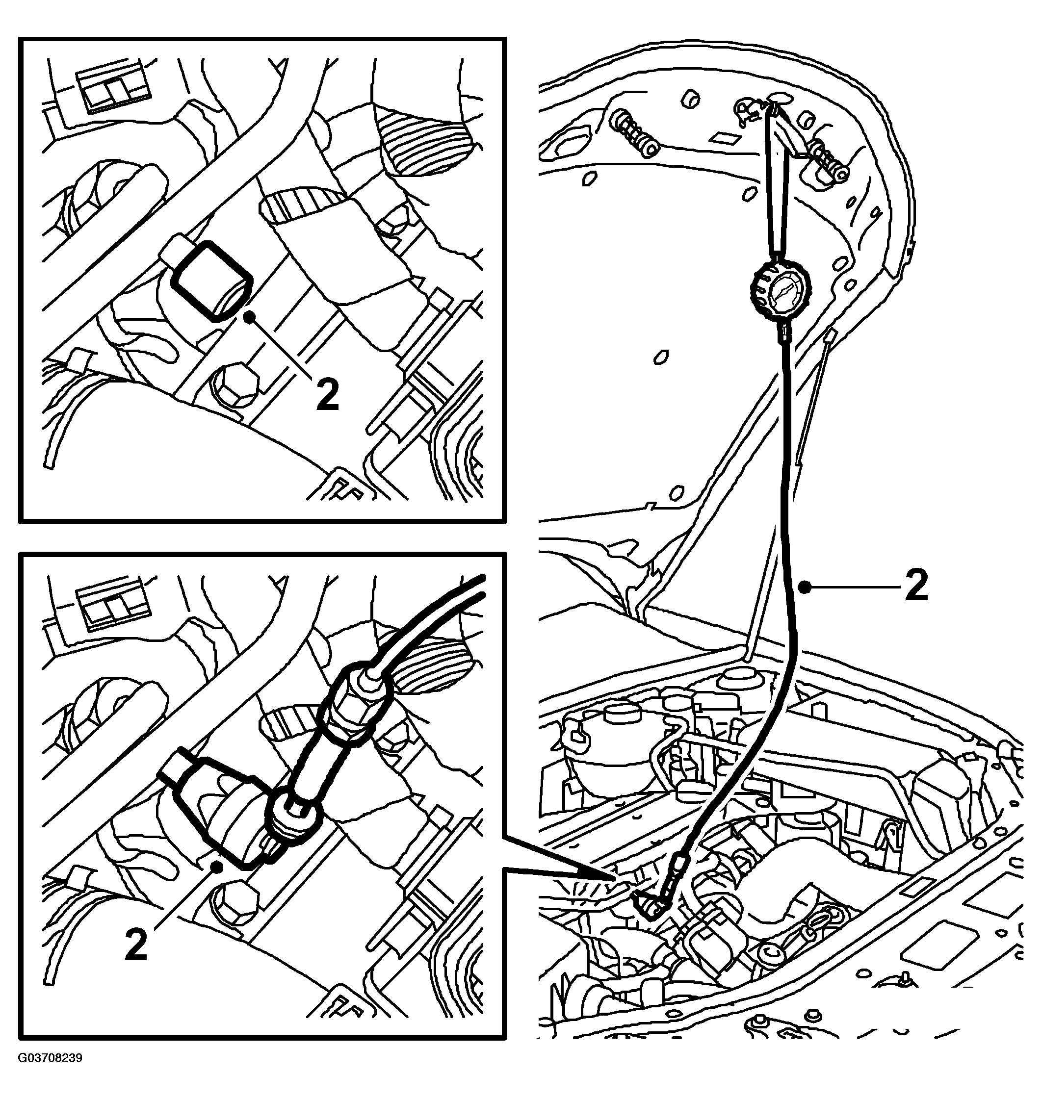 G03708239