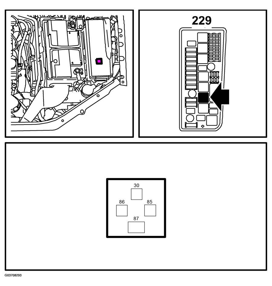 G03708293