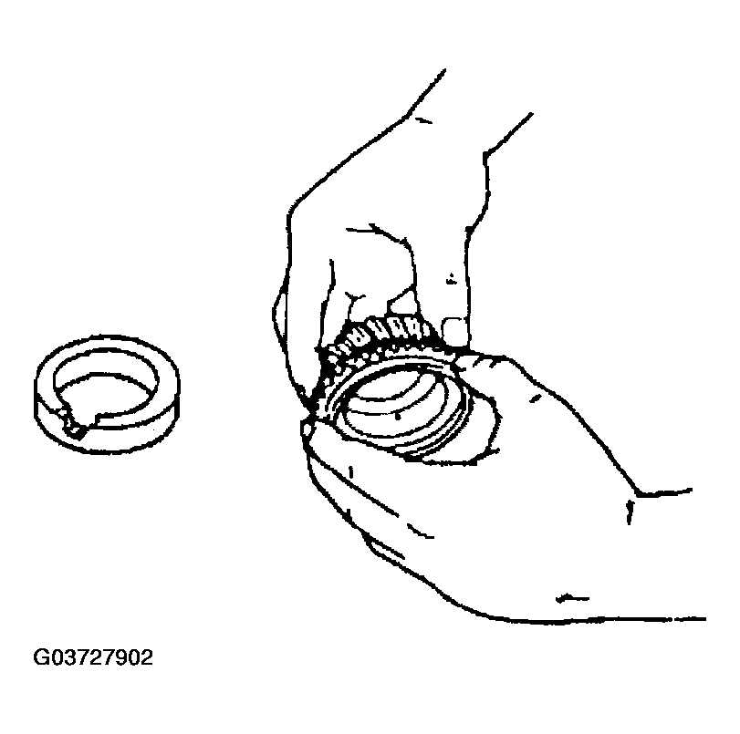 G03727902