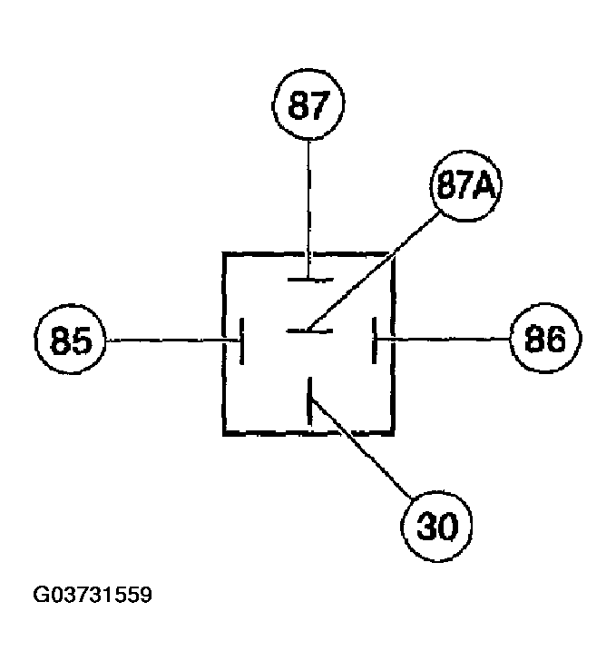 G03731559