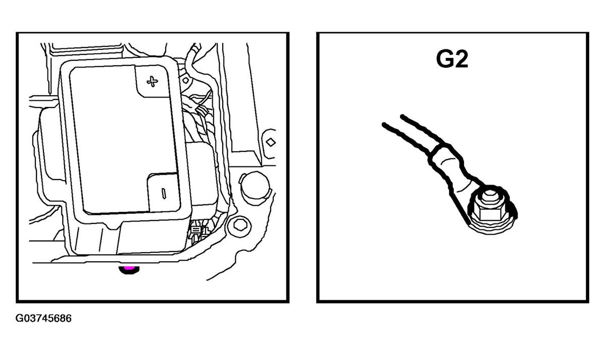 G03745686
