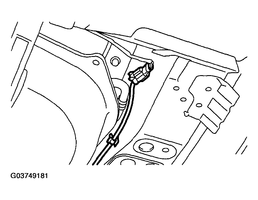G03749181