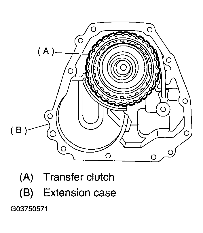 G03750571