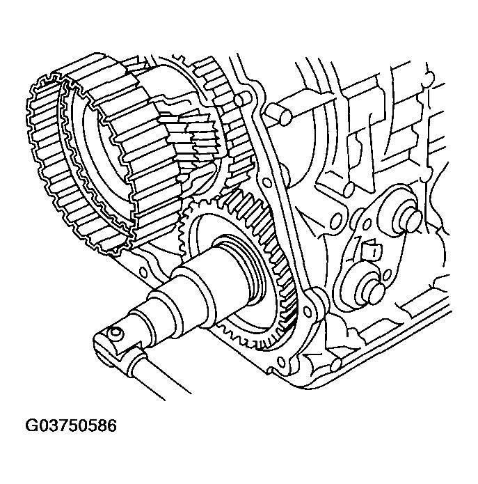 G03750586