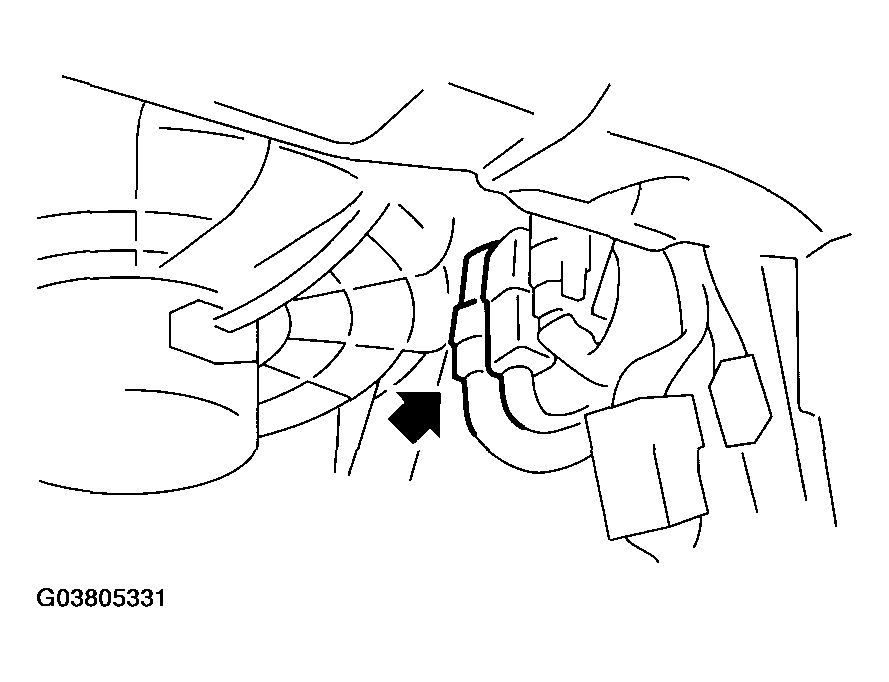 G03805331