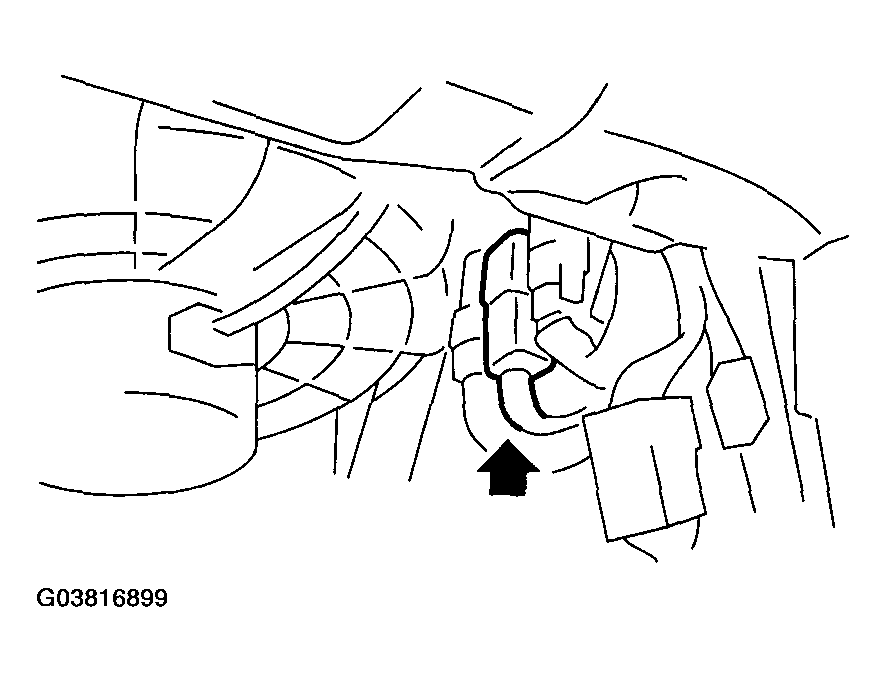 G03816899