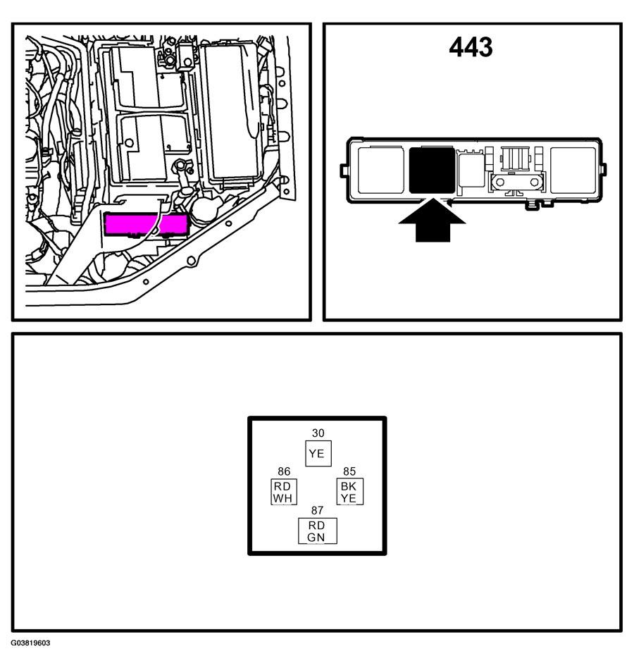 G03819603