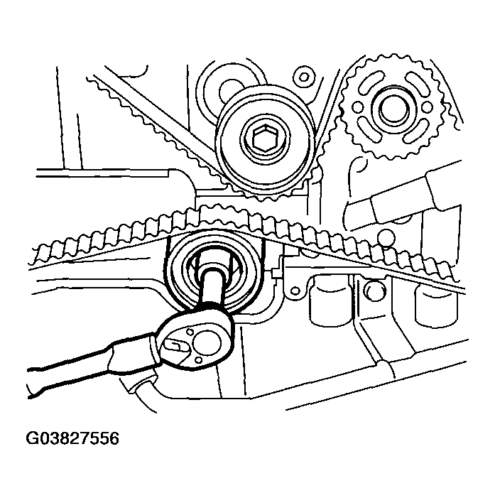 G03827556