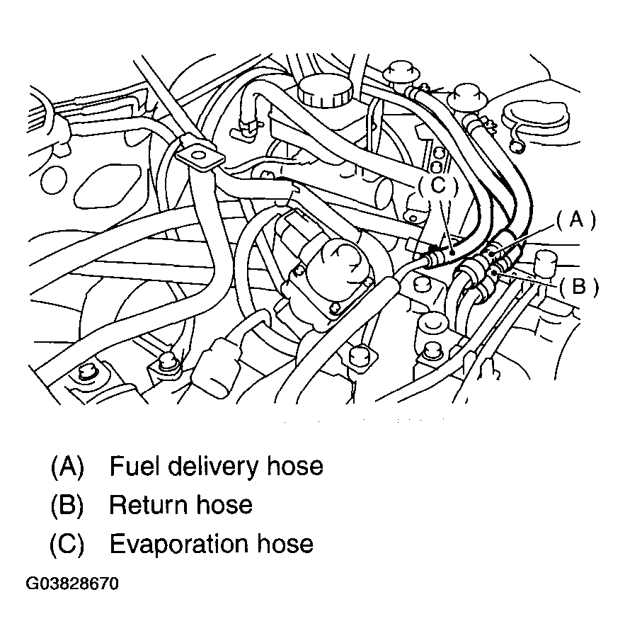 G03828670